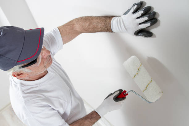 Best Post-Construction Mold Inspection  in Jasper, GA