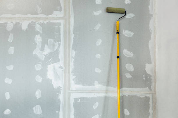 Best Environmental Consulting for Mold Prevention  in Jasper, GA