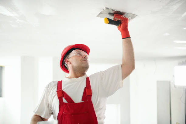 Best Black Mold Removal  in Jasper, GA