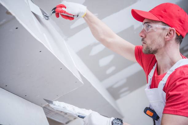 Best Mold Odor Removal Services  in Jasper, GA